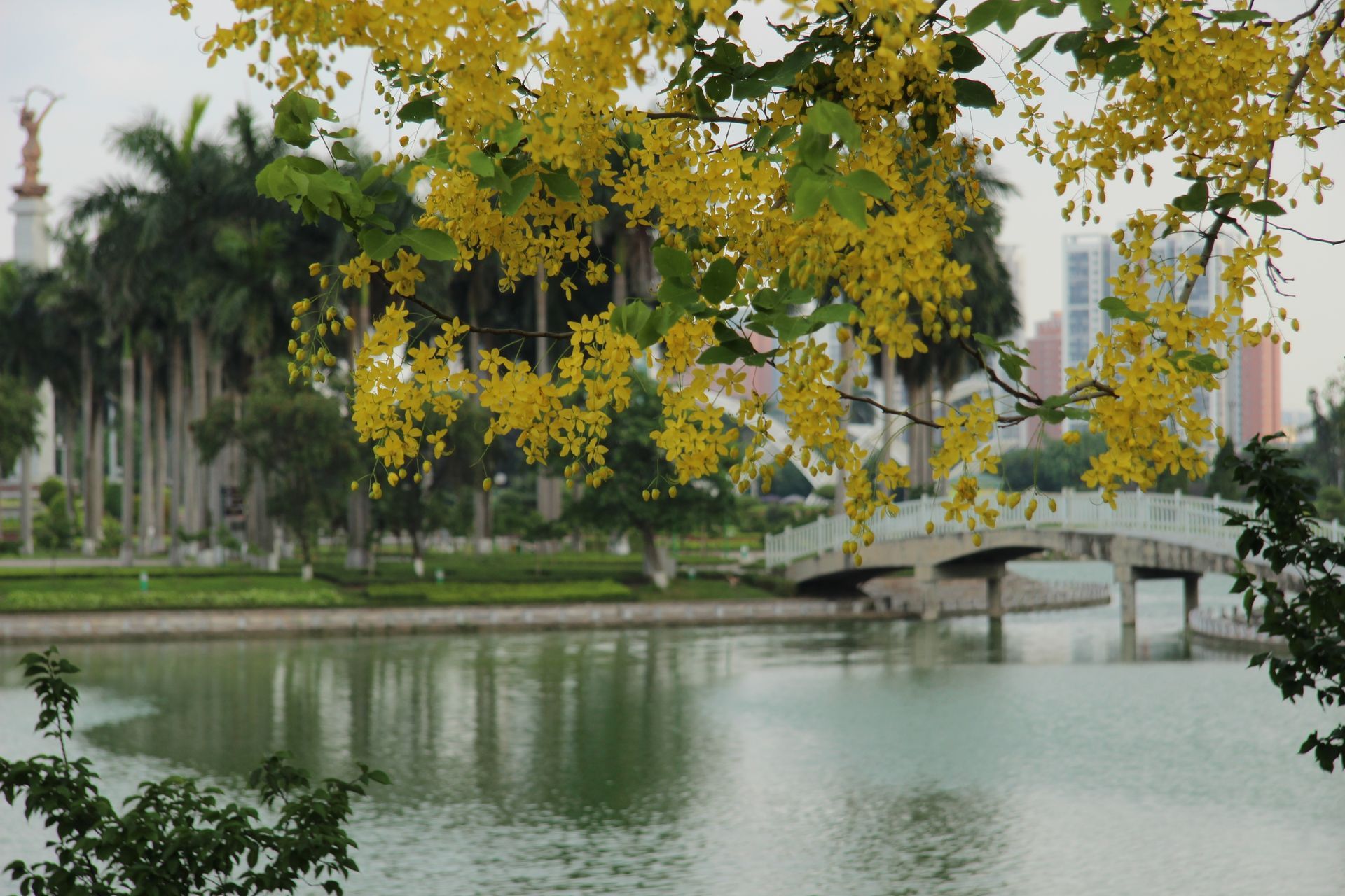 Tài nguyên môi trường thiên nhiên Hà Nội