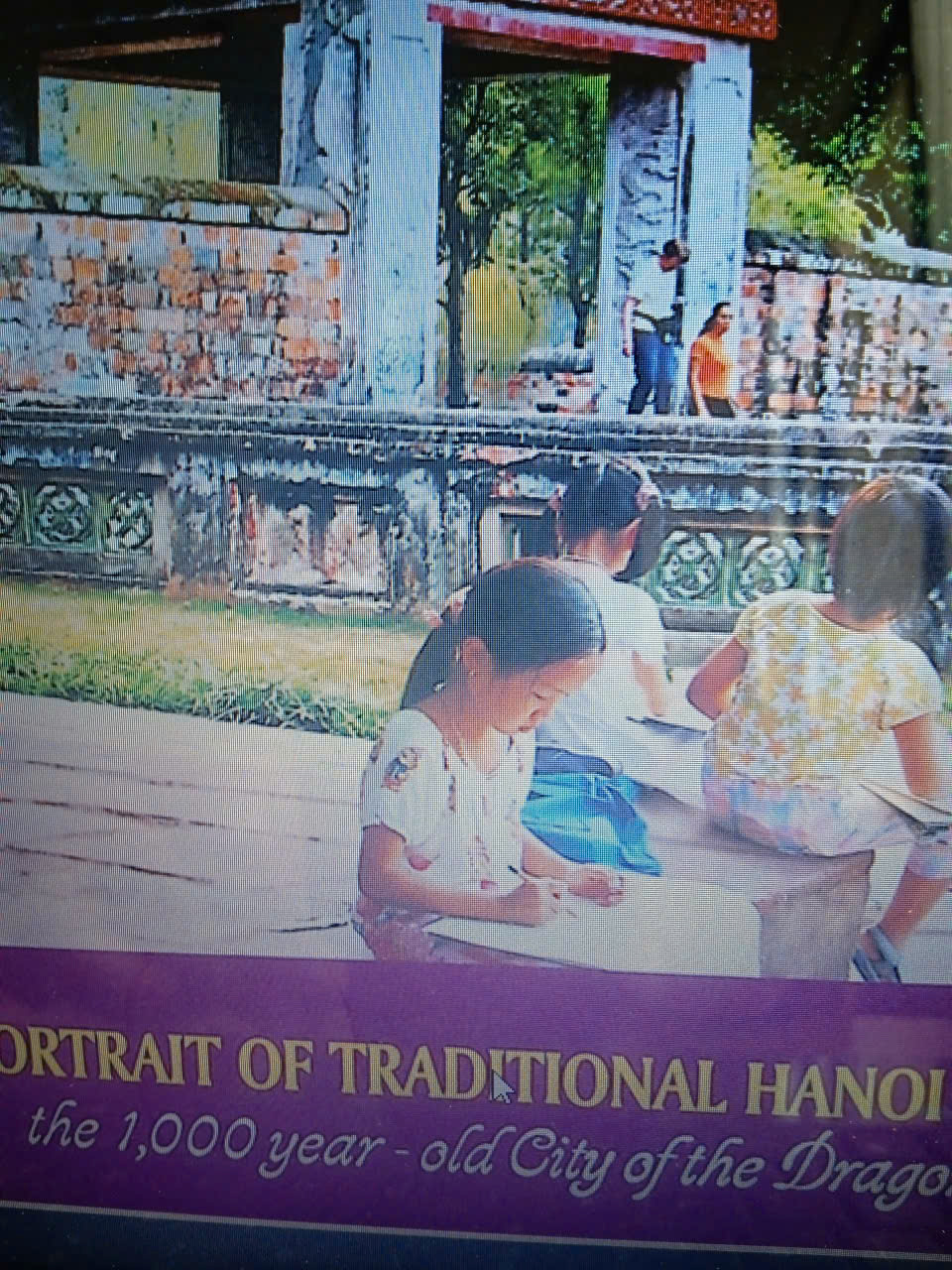 Portrait of traditional Ha Noi the 1000 year - old city of the Dragon